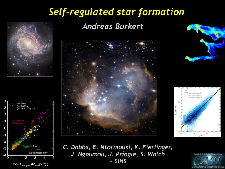 self regulated star formation