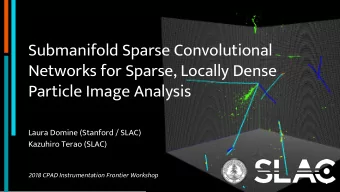 Submanifold Sparse Convolutional  Networks for Sparse, Locally Dense  Particle Image Analysis