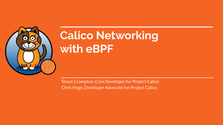 calico networking with ebpf