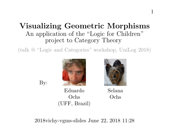 visualizing geometric morphisms
