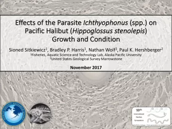 Ef Effects of the Parasite Ich chthyophonus (s  (spp.)  ) on  Pa Pacific Halibut ( Hip  Hippog
