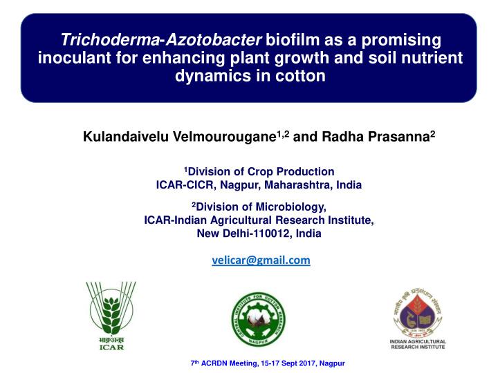 trichoderma azotobacter biofilm as a promising inoculant