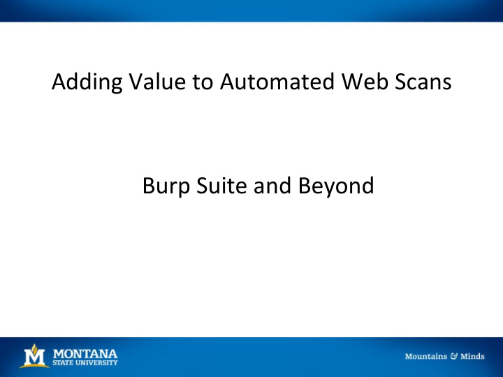 burp suite and beyond automated scanning vs manual tes ng