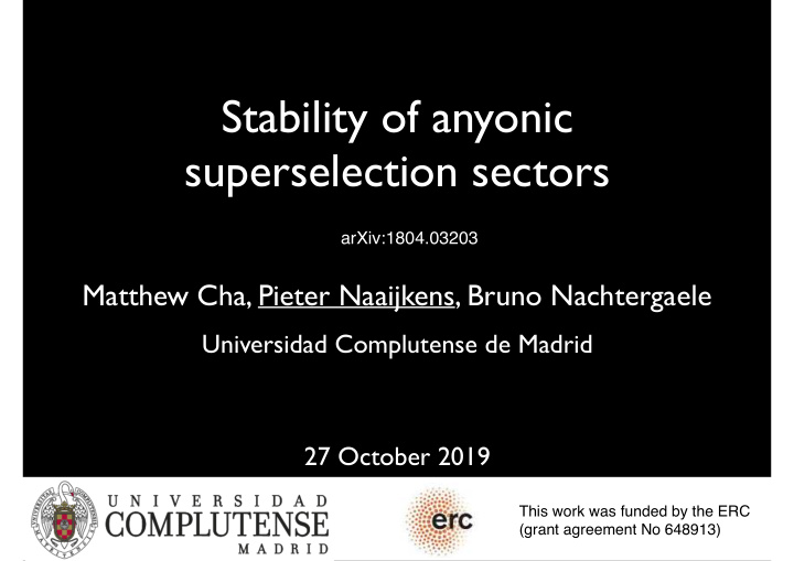 stability of anyonic superselection sectors