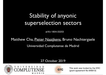 Stability of anyonic  superselection sectors  arXiv:1804.03203  Matthew Cha, Pieter Naaijkens,