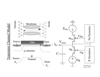 Transistor Channel Model  [Farquhar and  Hasler, 2004]  Transistor HH Channel Model  [Farquhar and