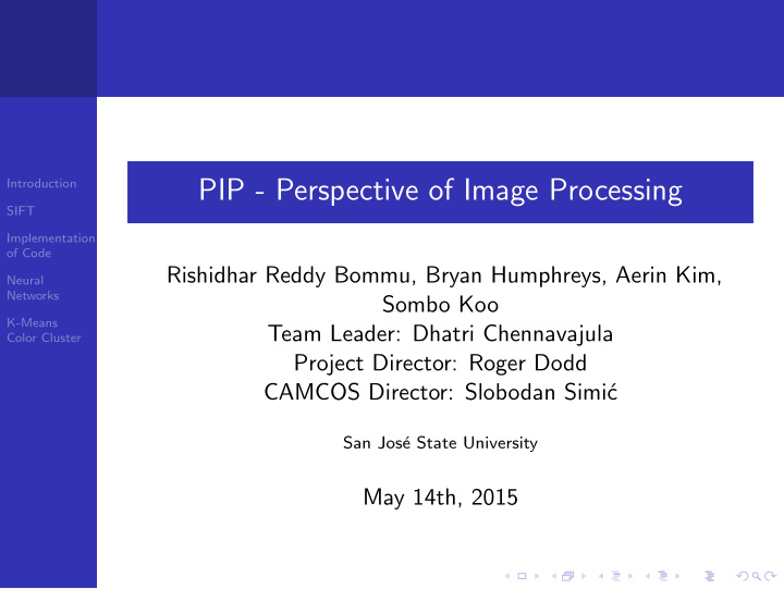 pip perspective of image processing