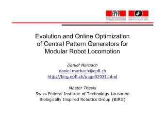Evolution and Online Optimization  of Central Pattern Generators for  Modular Robot Locomotion