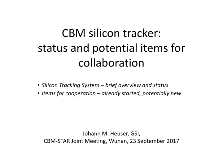 cbm silicon tracker status and potential items for