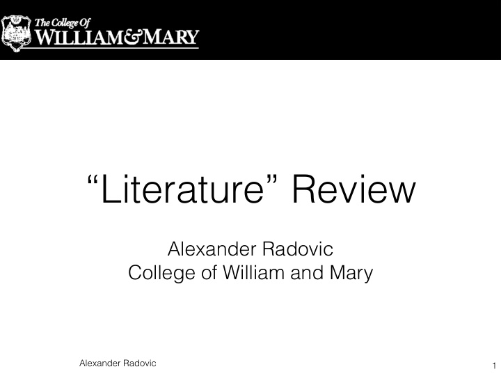 literature review