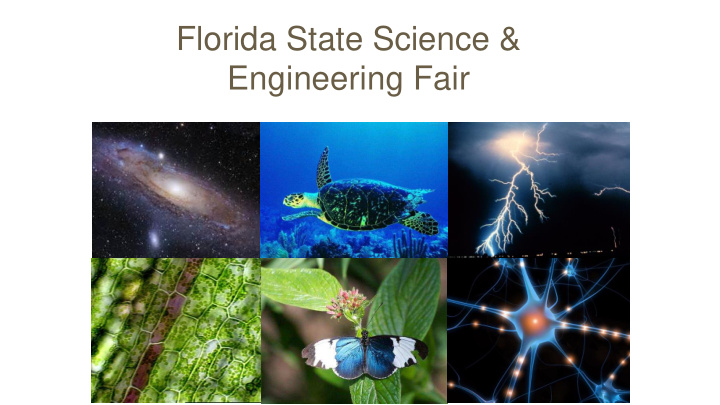 florida state science amp engineering fair adult roles