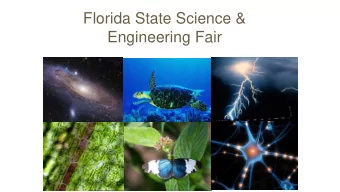 Florida State Science &amp;  Engineering Fair  Adult Roles and  Responsibilities  Adult Sponsor