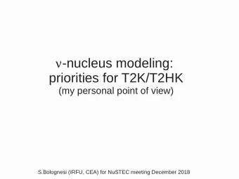 n -nucleus modeling:  priorities for T2K/T2HK  (my personal point of view)  S.Bolognesi (IRFU, CEA)