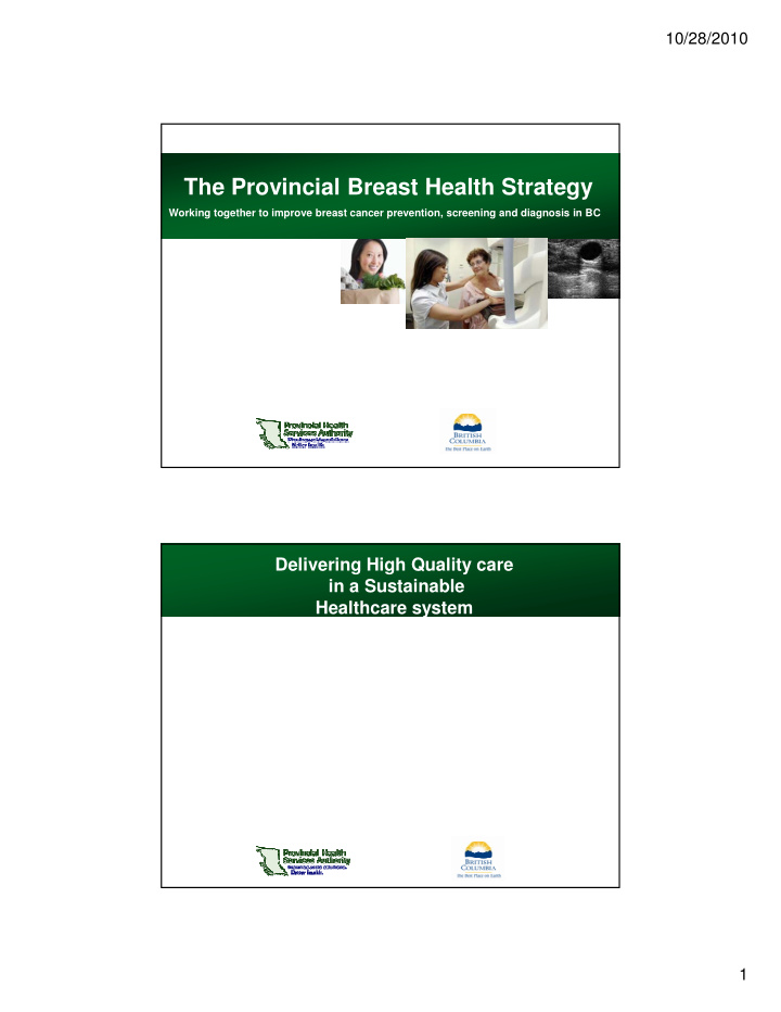 the provincial breast health strategy