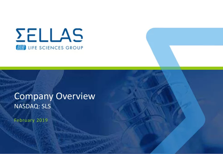 company overview