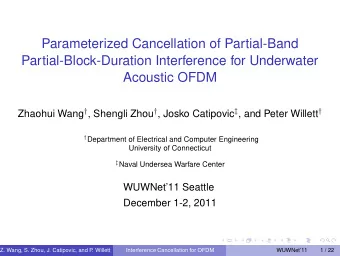 Parameterized Cancellation of Partial-Band  Partial-Block-Duration Interference for Underwater