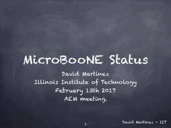 MicroBooNE Status  David Martinez  Illinois Institute of Technology  February 13th 2017  AEM