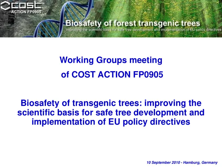 working groups meeting