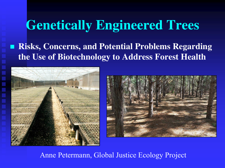 genetically engineered trees