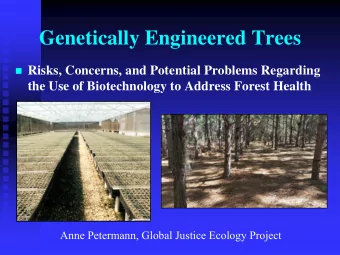 Genetically Engineered Trees  Risks, Concerns, and Potential Problems Regarding  the Use of