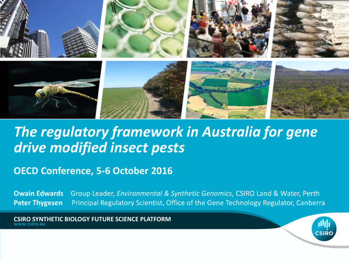 the regulatory framework in australia for gene drive