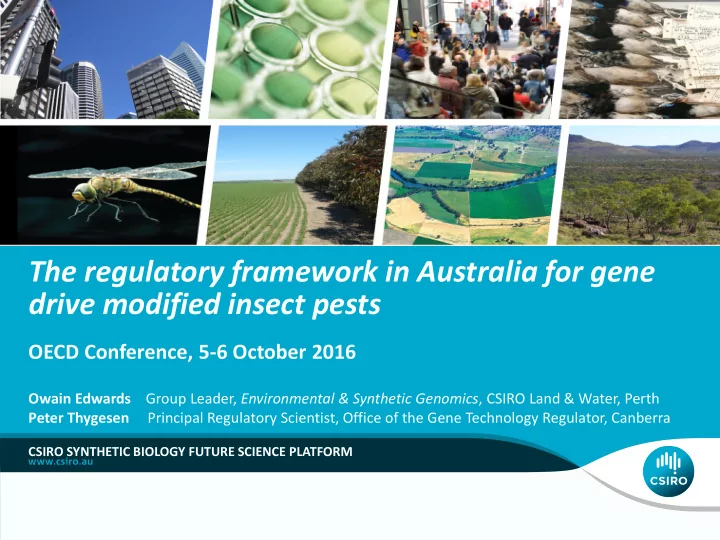 the regulatory framework in australia for gene drive
