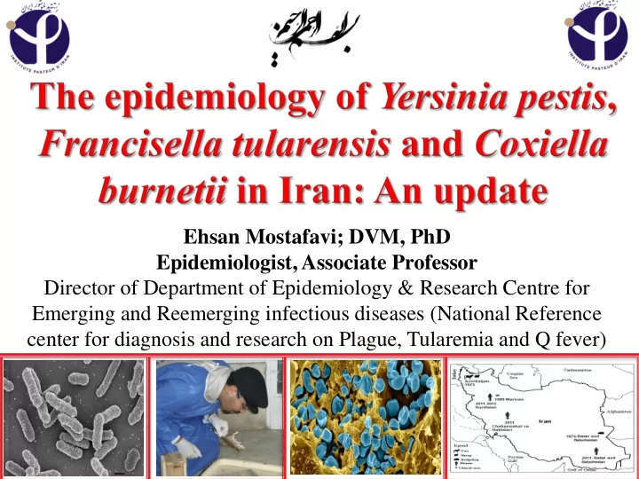 director of department of epidemiology amp research