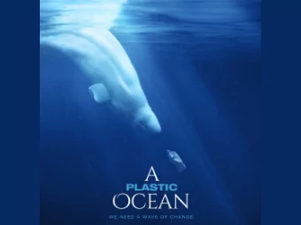 Sources of Plastic Pollution in Oceans  In 2010, coastal countries produced about 275 million