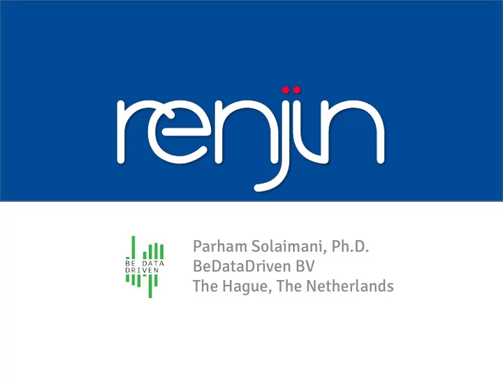 parham solaimani ph d bedatadriven bv the hague the