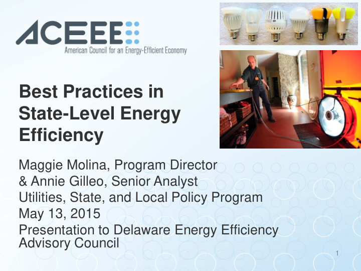 best practices in state level energy efficiency