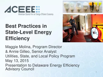 Best Practices in  State-Level Energy  Efficiency  Maggie Molina, Program Director  &amp; Annie