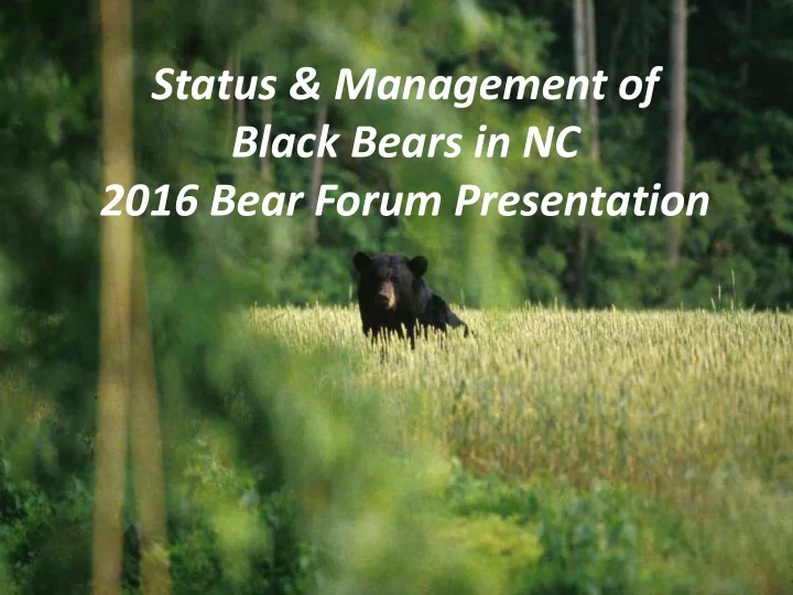 status amp management of black bears in nc 2016 bear
