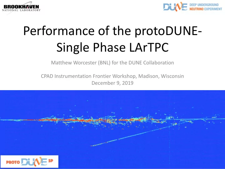 performance of the protodune single phase lartpc