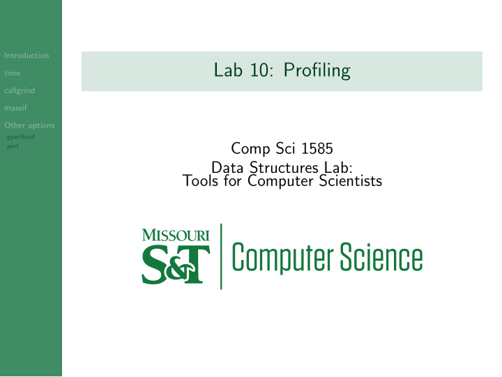 lab 10 profiling