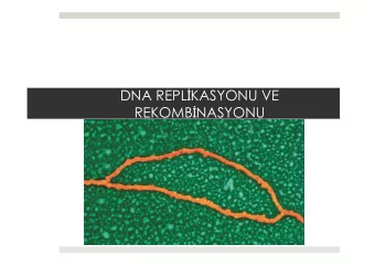 DNA REPL  KASYONU VE REKOMB  NASYONU  (Kaynak: Genetik Kavramlar, Klug, Prof. Dr. Bekta  TEPE