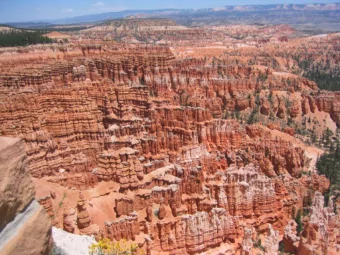 Dipolar bosons:  from solitons to rotons Kazimierz Rz  ewski  Center for Theoretical Physics