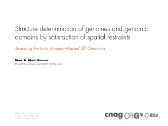 Structure determination of genomes and genomic  domains by satisfaction of spatial restraints
