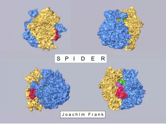 S   P   I    D    E    R  J o a c h I m   F r a n k  SPIDER is a command-driven application written