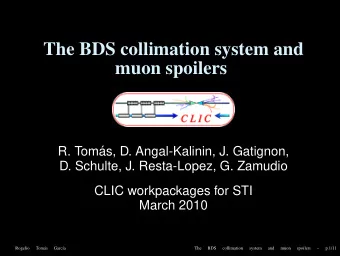 The BDS collimation system and  muon spoilers  R. Tom  as, D. Angal-Kalinin, J. Gatignon,  D.