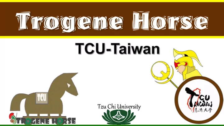 tzu chi university