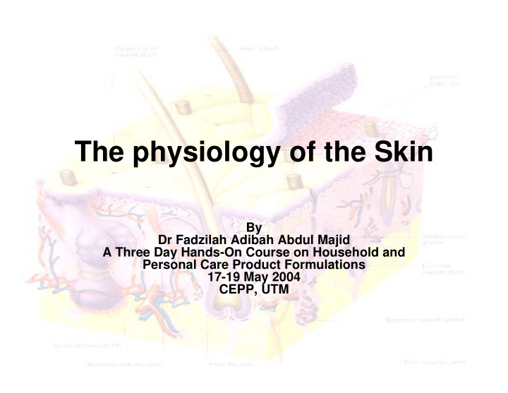 the physiology of the skin