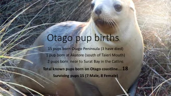 Otago pup births  15 pups born Otago Peninsula (3 have died)  1 pup born at Akatore (south of