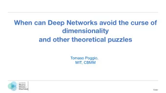 When can Deep Networks avoid the curse of  dimensionality and other theoretical puzzles  Tomaso