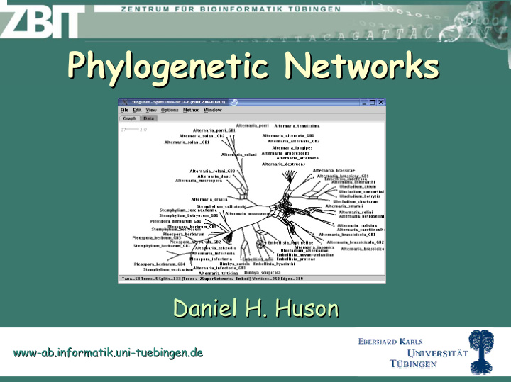 phylogenetic networks networks phylogenetic