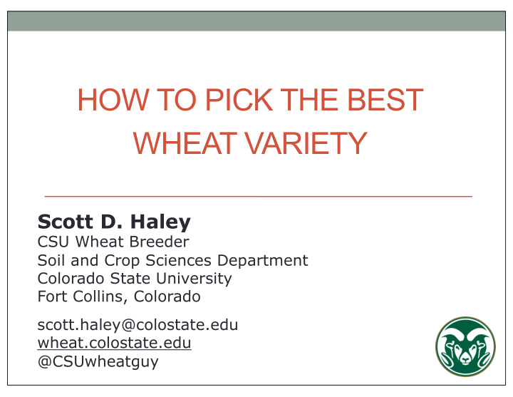 how to pick the best wheat variety
