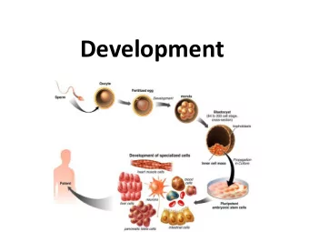 Development  Model Organisms  Model Organisms  Used to study embryonic development  Usually