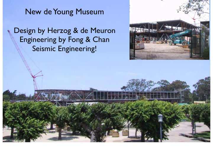 new de young museum
