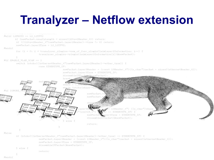 tranalyzer netflow extension