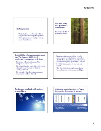 12/22/2009  How does a tiny  seed grow into a  massive tree?  Photosynthesis  Where did all of that