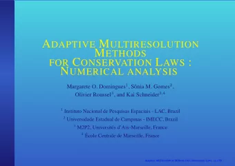 FOR C ONSERVATION L AWS : N UMERICAL ANALYSIS Margarete O. Domingues 1 , S onia M. Gomes 2 ,
